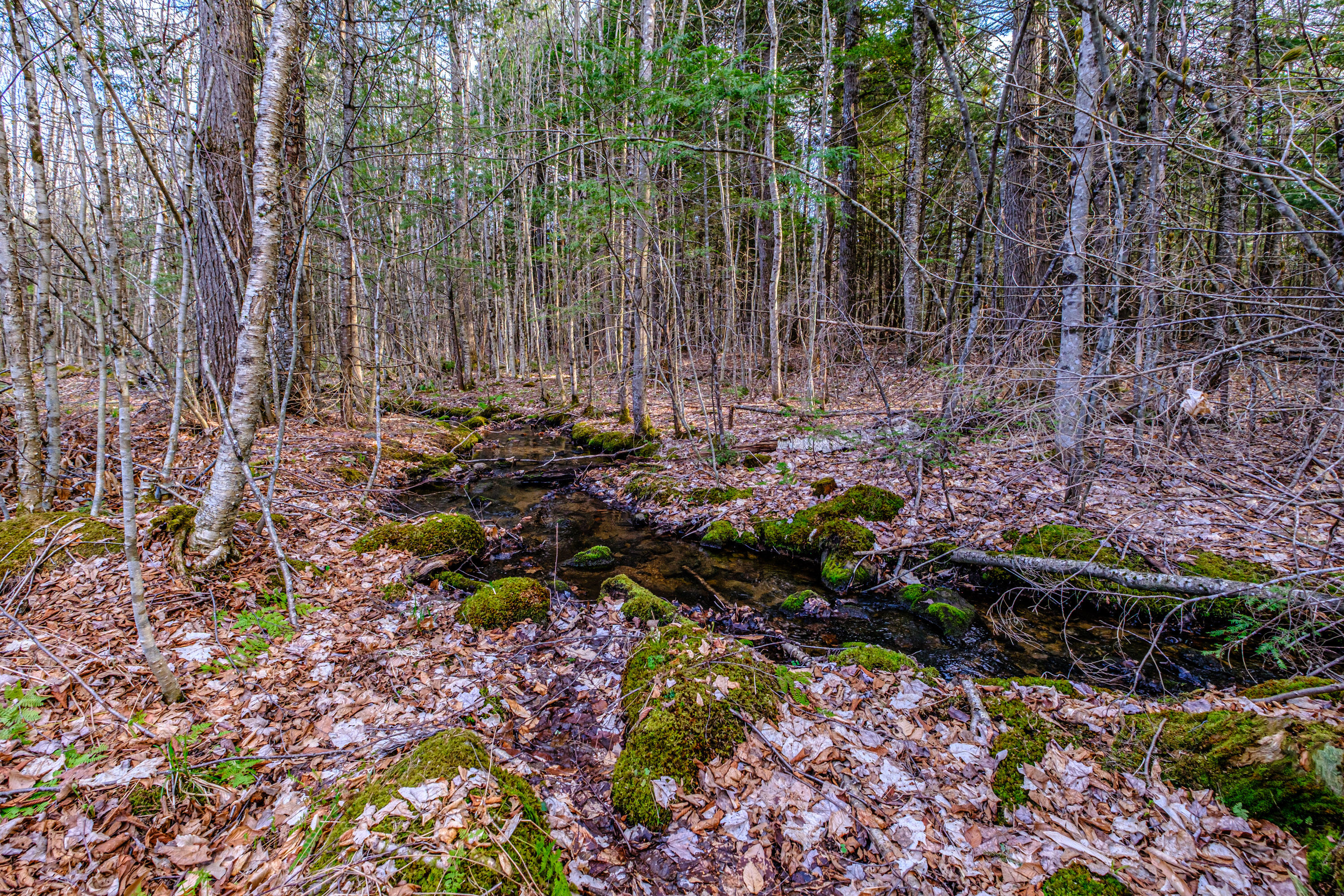 220 Kimball Road Bridgton, ME 04009 - Photo 71 of 78 20260504gp-64043