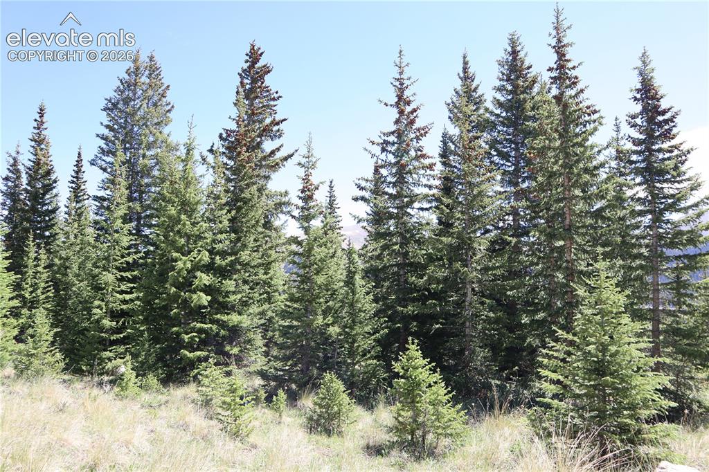 1480 Roberts Road Alma, CO 80420 - Photo 10 of 26
