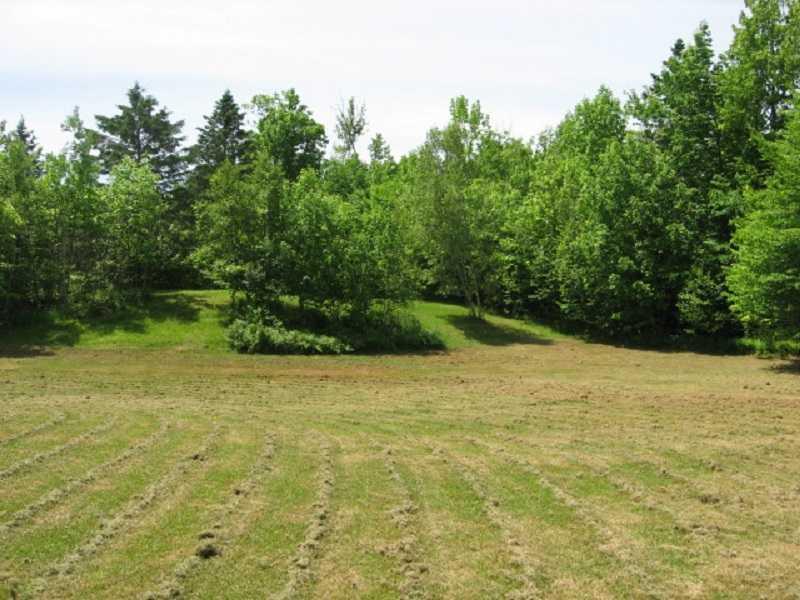 317 Avenue Road Garland, ME 04939 - Photo 3 of 14 Land.