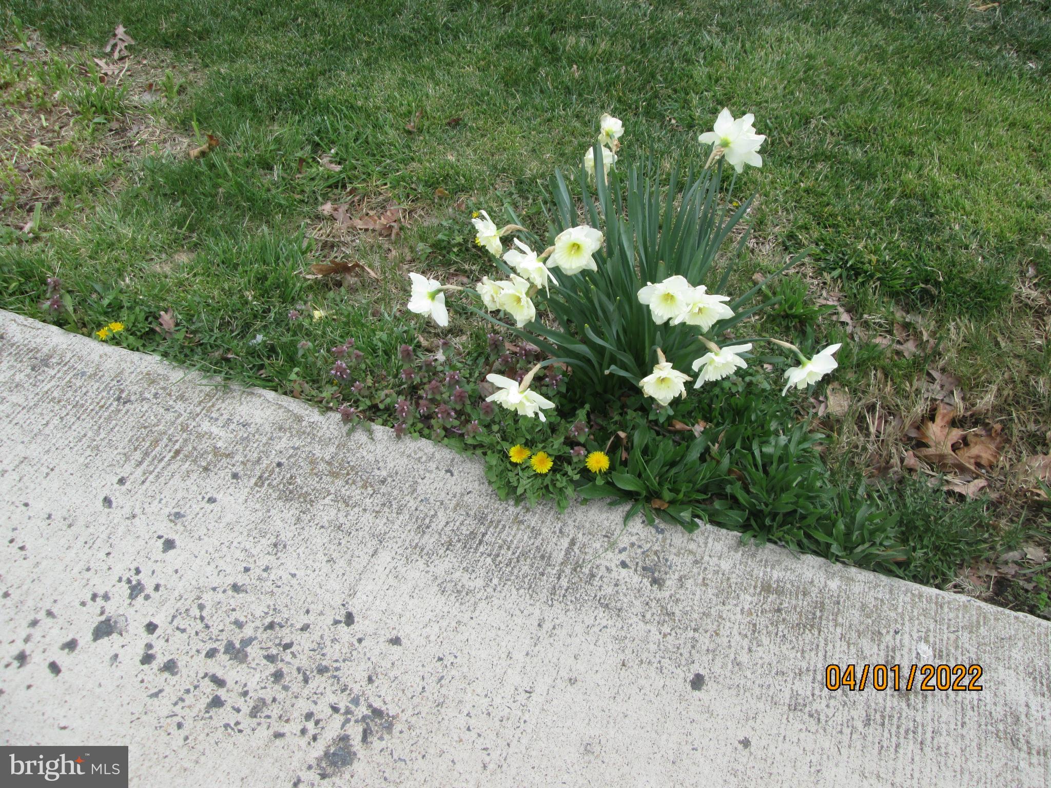 6907 Ruskin Street Springfield, VA 22150 - Photo 31 of 31