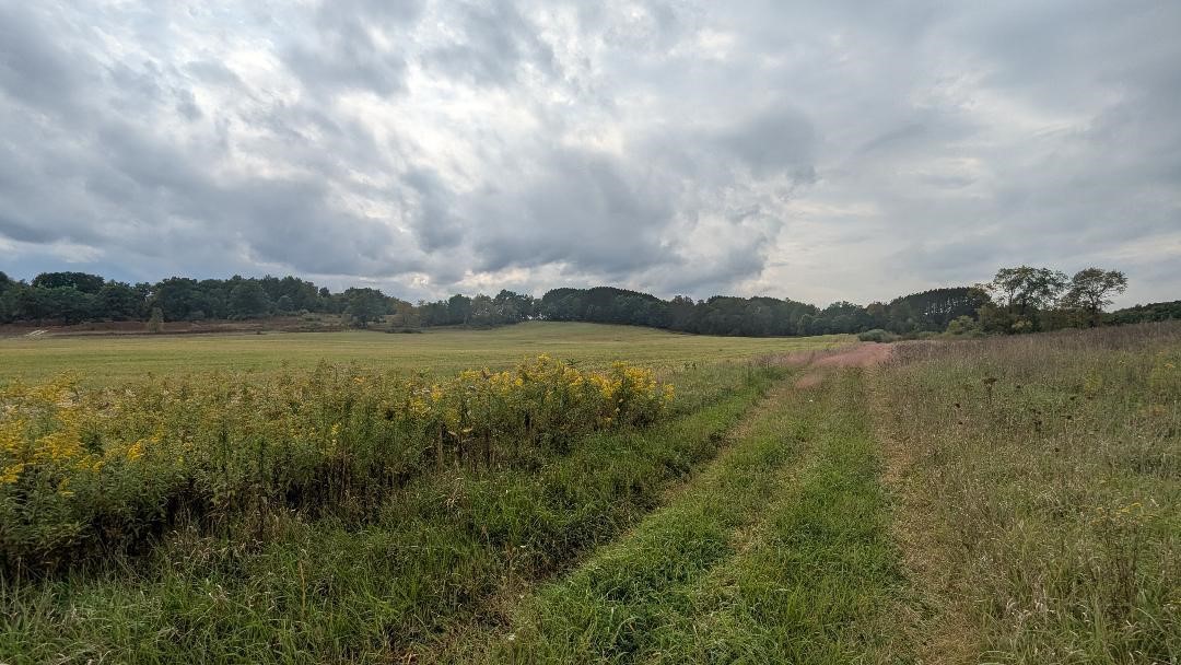 0 East 14 Mile Road Paris, MI 49338 - Photo 2 of 28 Gallery Image 2