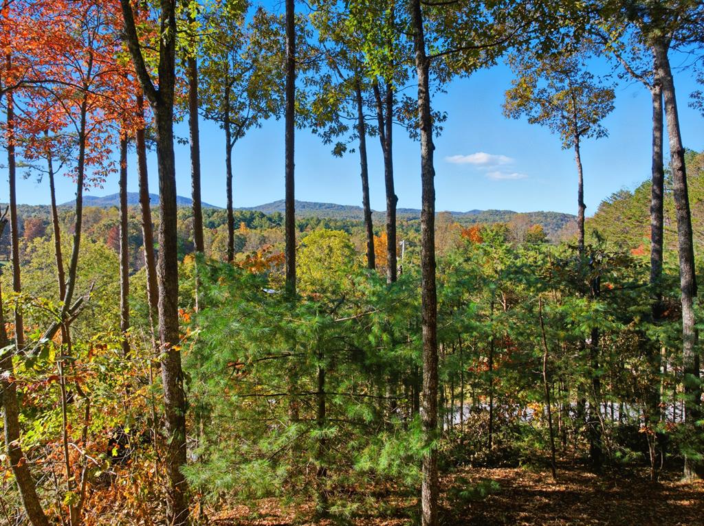 5240 Squirrel Hunting Road Blairsville, GA 30512 - Photo 2 of 40 a view of lake