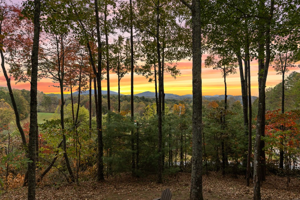 5240 Squirrel Hunting Road Blairsville, GA 30512 - Photo 22 of 40 a view of outdoor space and mountain view