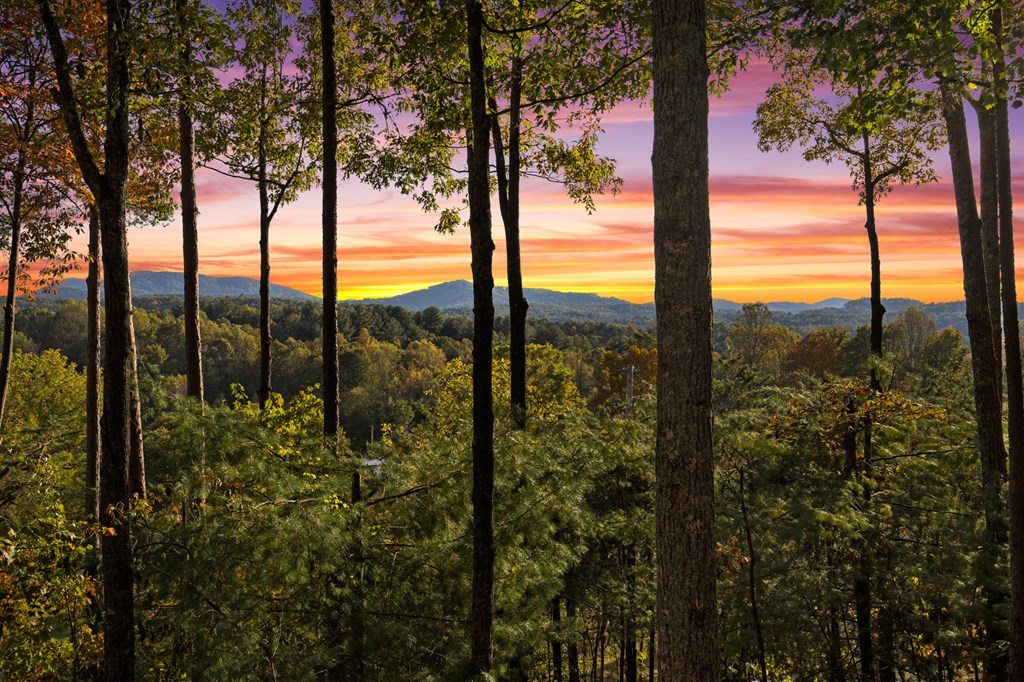 5240 Squirrel Hunting Road Blairsville, GA 30512 - Photo 25 of 40 a view of outdoor from a window