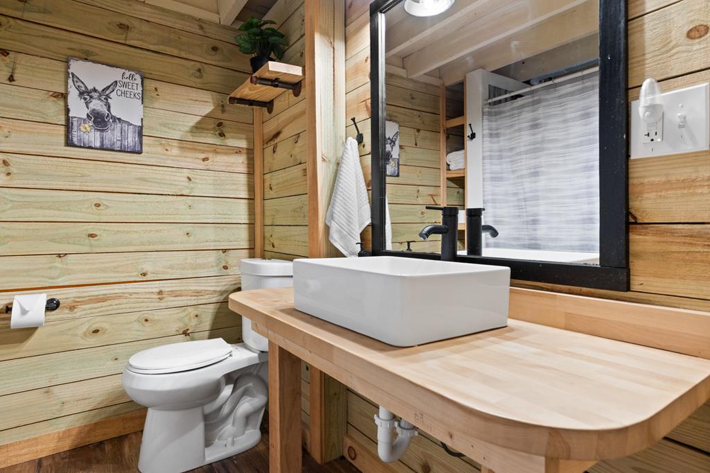 5240 Squirrel Hunting Road Blairsville, GA 30512 - Photo 36 of 40 a bathroom with a sink a toilet and shower