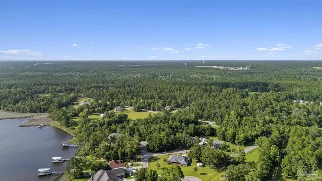 a view of a city with lush green forest