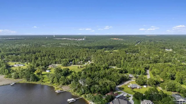 a view of a city with lush green forest