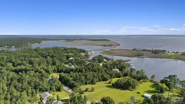 an aerial view of ocean with trees