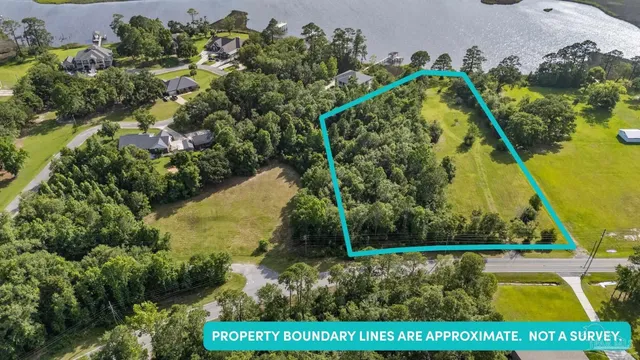 a view of a garden with a bench