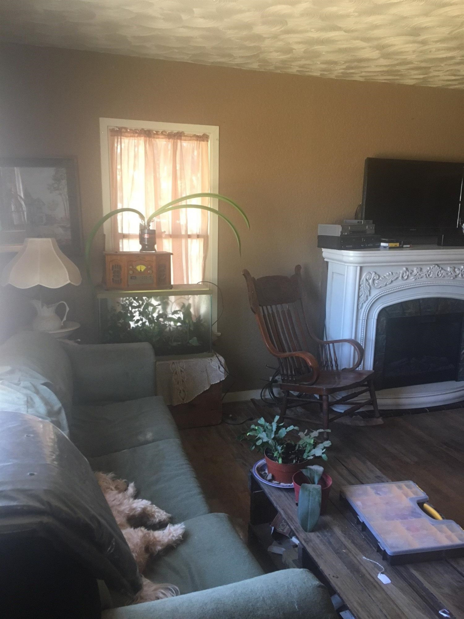 1420 Tilford Street Ralls, TX 79357 - Photo 5 of 7 a living room with furniture a fireplace and a flat screen tv