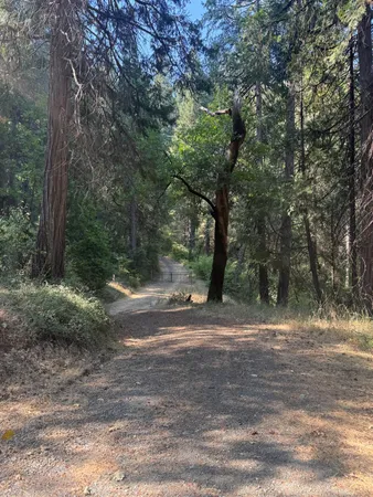 $83,500 | 4920 Arctic Lane, Grizzly Flats, CA 95636