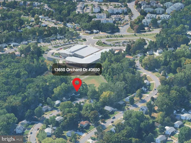 a view of swimming pool and covered with trees