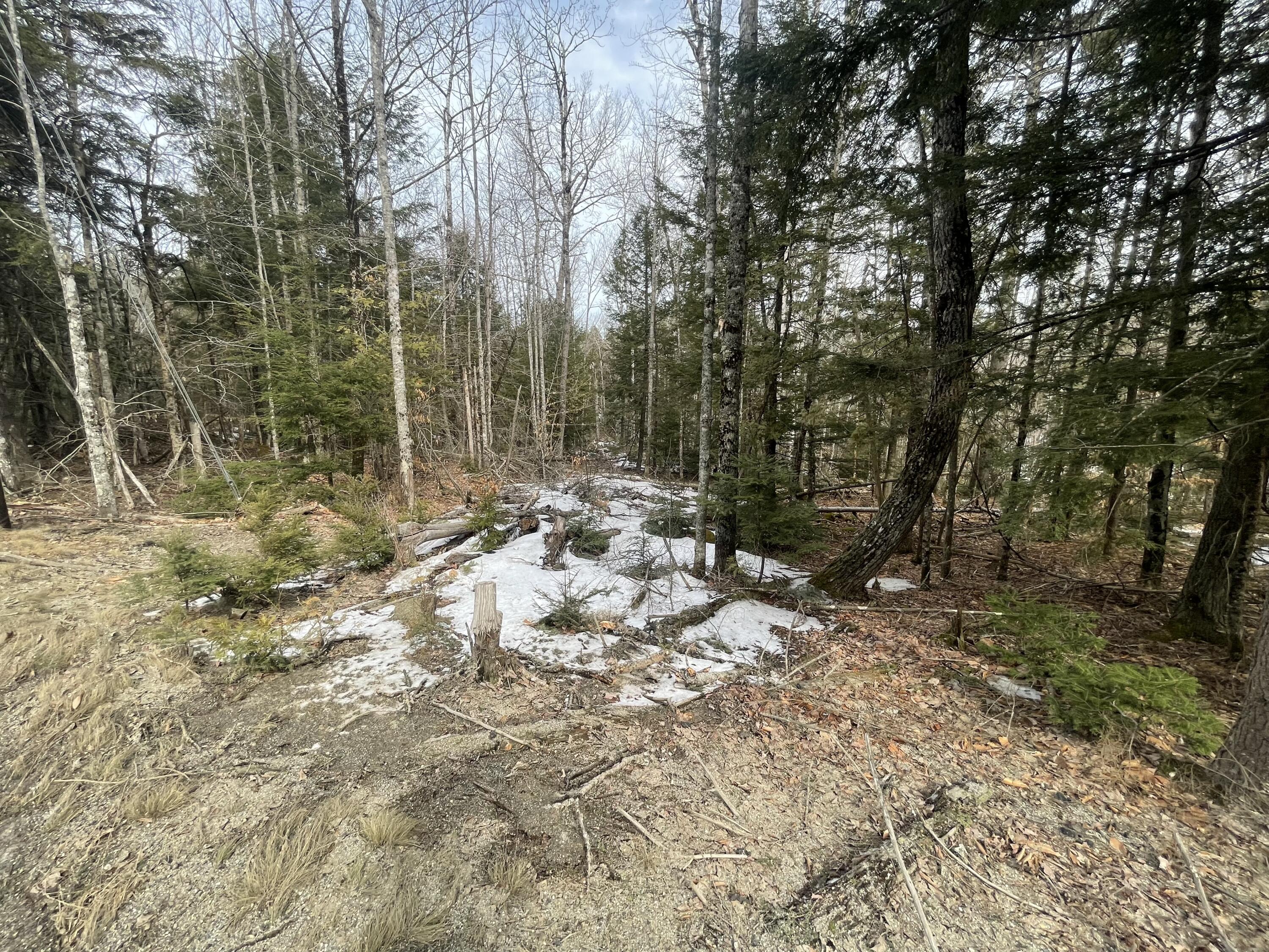 1093 Mariaville Road Ellsworth, ME 04605 - Photo 4 of 14 Driveway Started