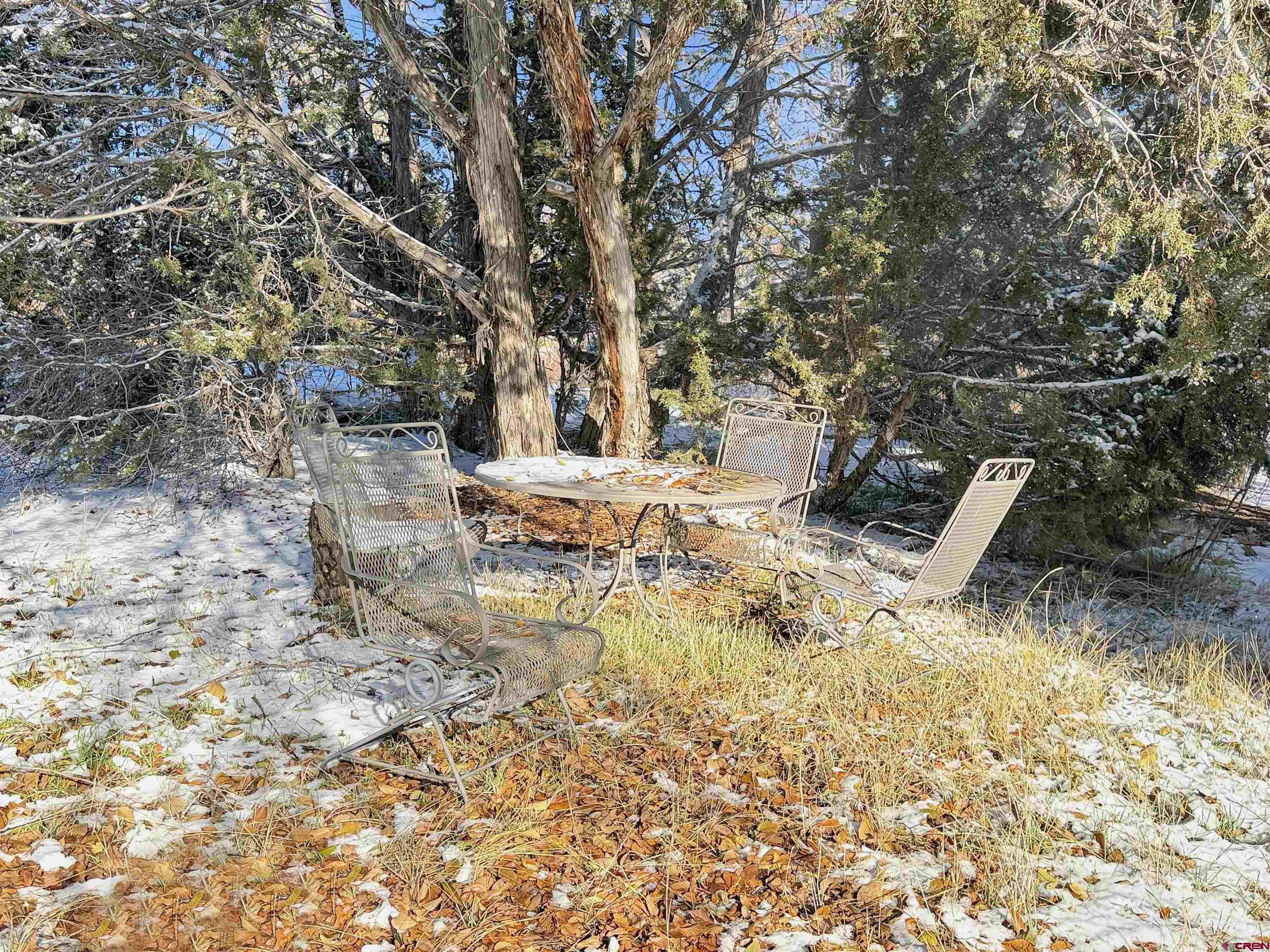 27425 Rd P.7 Dolores, CO 81323 - Photo 39 of 45 a view of yard with trees