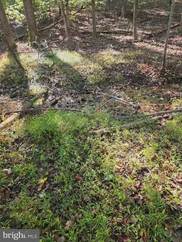 a view of a yard with plants and wooden fence