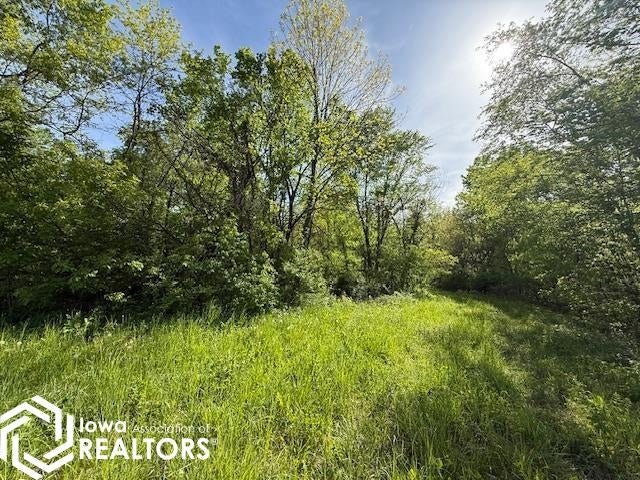 Salem Road New London, IA 52645 - Photo 13 of 34 Gallery Image 13