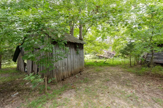 a view of a backyard