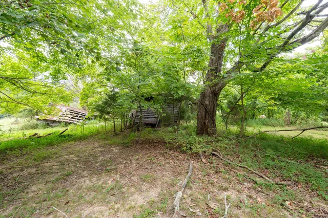a big yard with lots of green space and house in the back