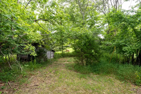 a backyard of a house with plants and tree