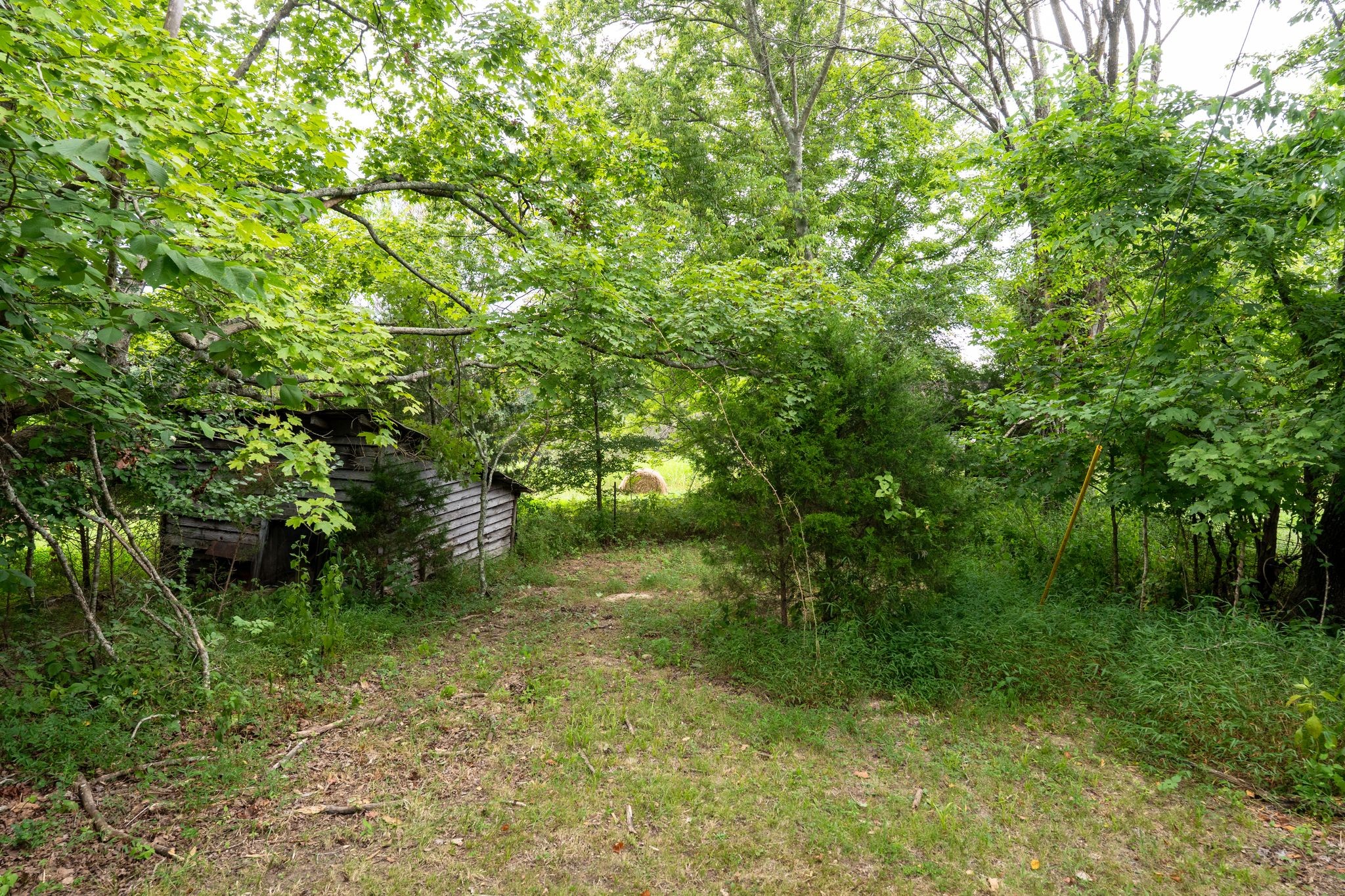 2882 Mobley Ridge Road Duck River, TN 38454 - Photo 17 of 70