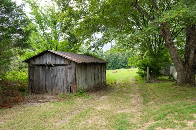 a view of a yard with large trees