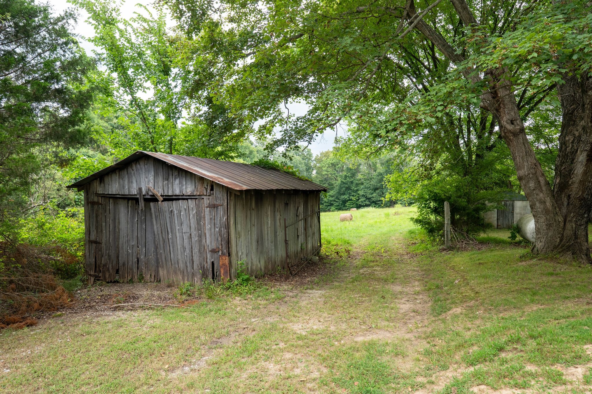 2882 Mobley Ridge Road Duck River, TN 38454 - Photo 21 of 70 a backyard of a house with plants and tree