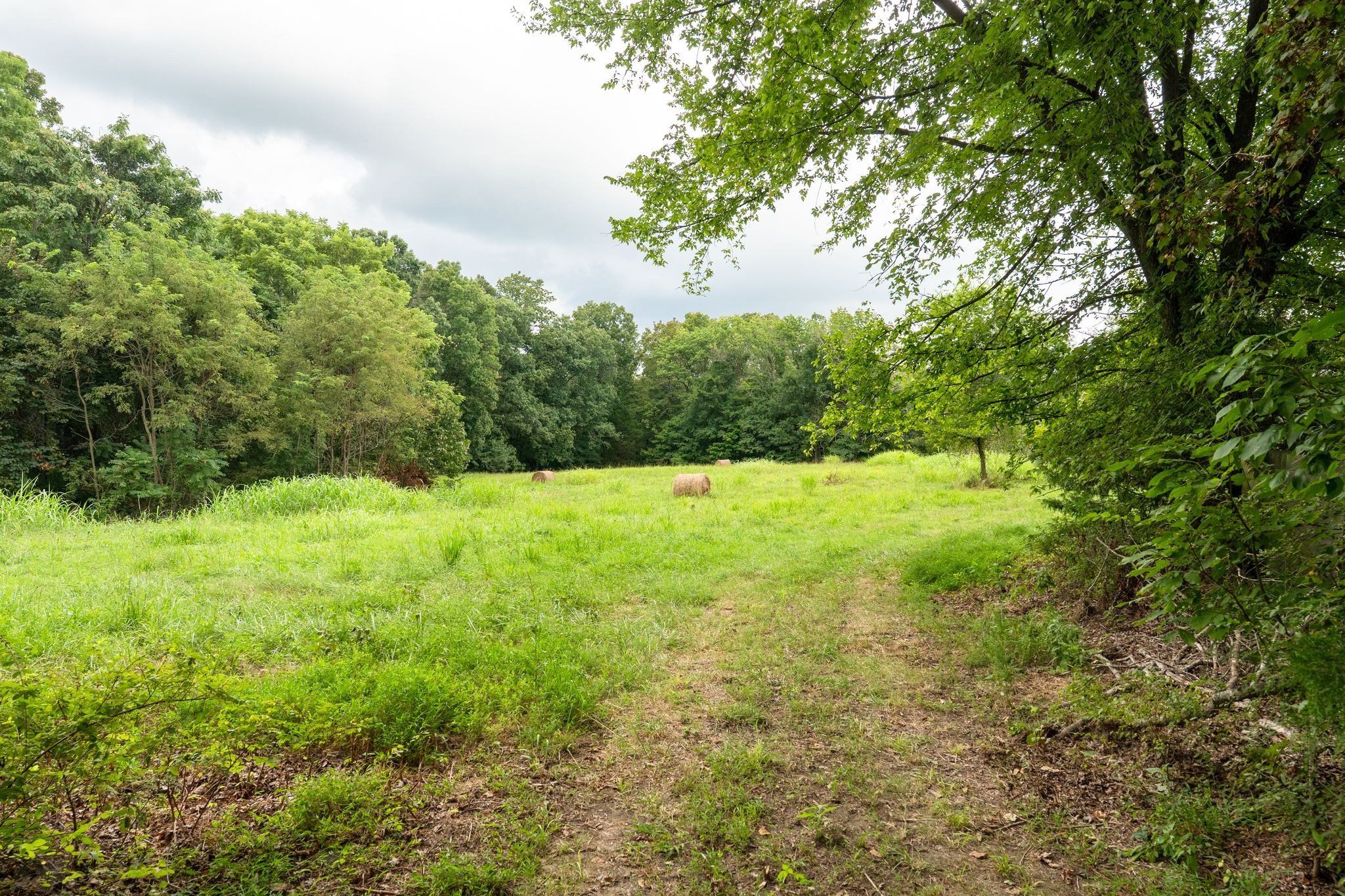 2882 Mobley Ridge Road Duck River, TN 38454 - Photo 23 of 70