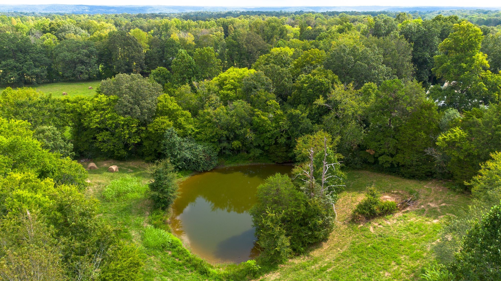 2882 Mobley Ridge Road Duck River, TN 38454 - Photo 32 of 70