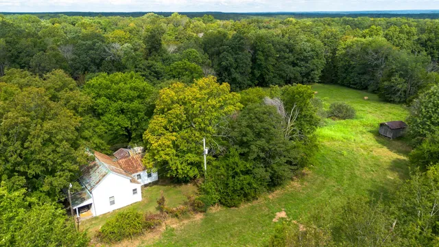 a view of a yard with a tree