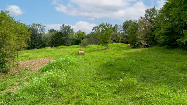 a backyard of a house with lots of green space