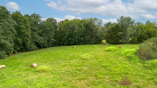 a view of a field with an trees in the background