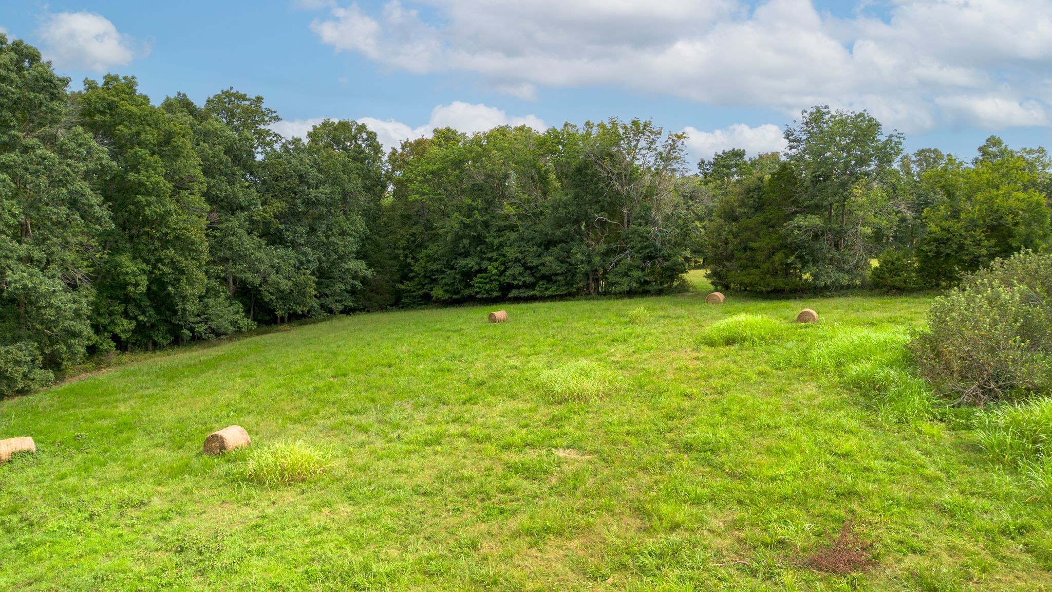 2882 Mobley Ridge Road Duck River, TN 38454 - Photo 38 of 70