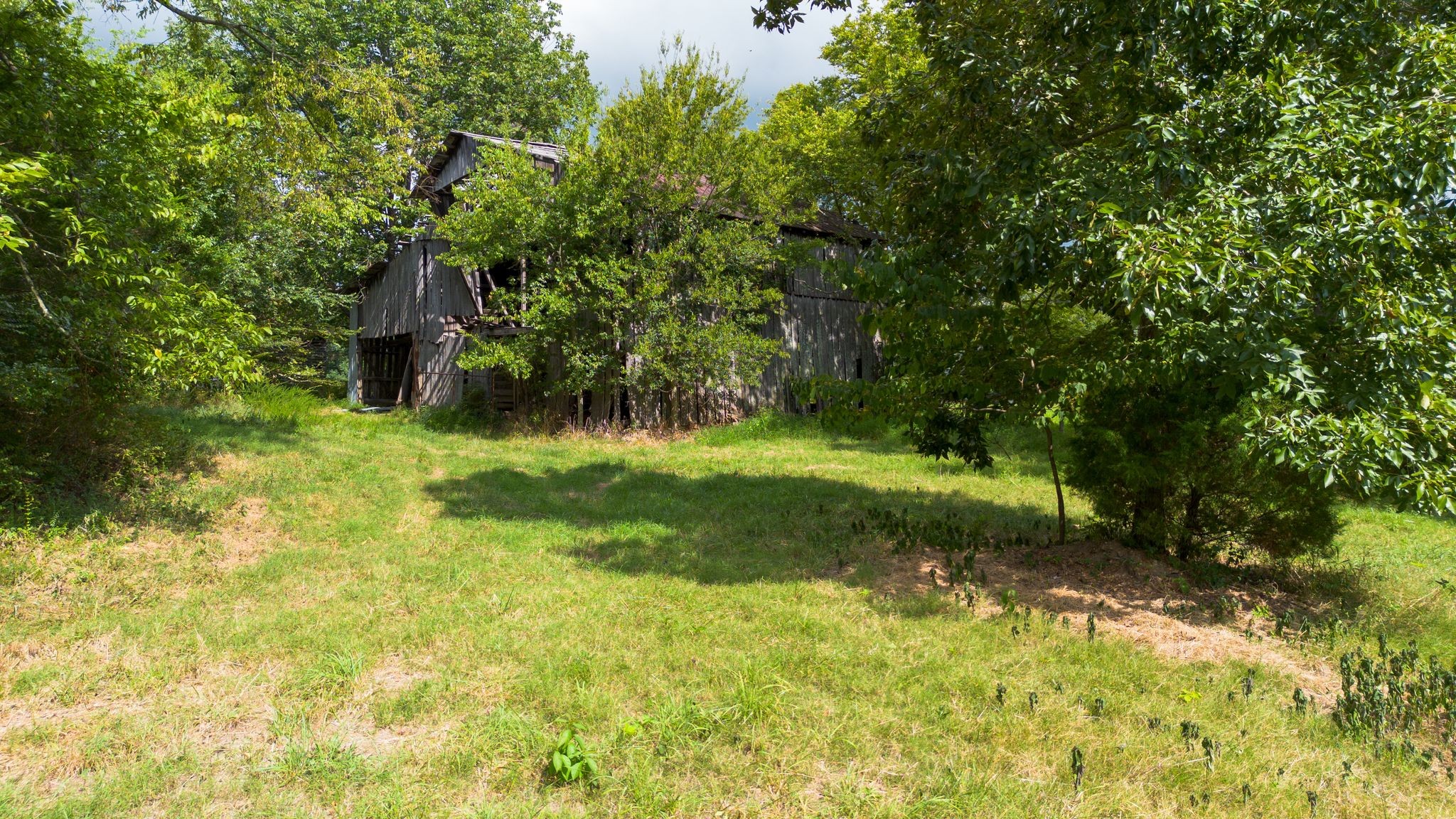 2882 Mobley Ridge Road Duck River, TN 38454 - Photo 49 of 70 a view of yard with green space