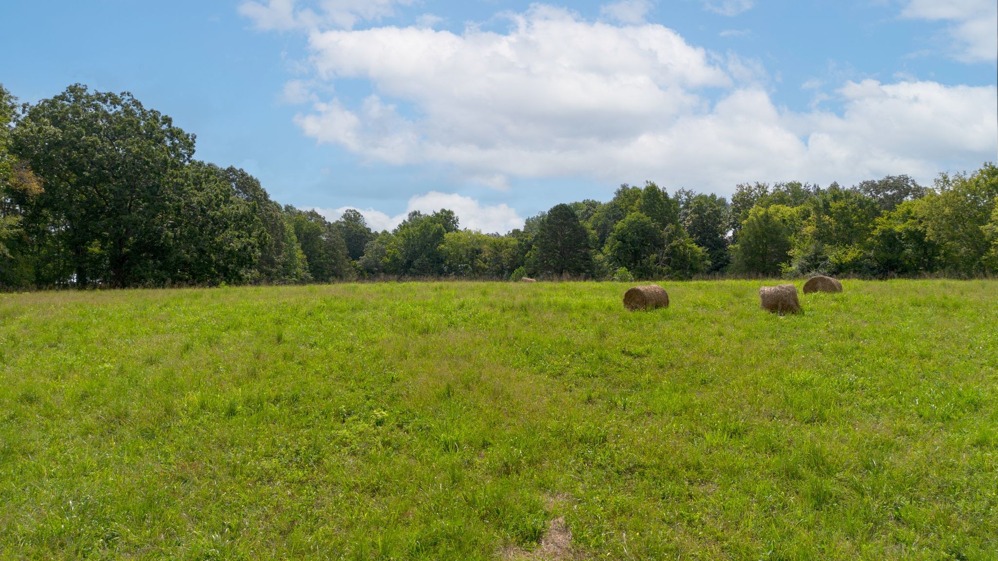 2882 Mobley Ridge Road Duck River, TN 38454 - Photo 53 of 70 a view of a field with an trees in the background