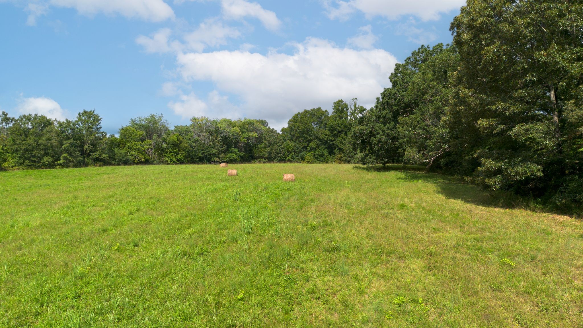 2882 Mobley Ridge Road Duck River, TN 38454 - Photo 55 of 70 a view of a field with an trees in the background