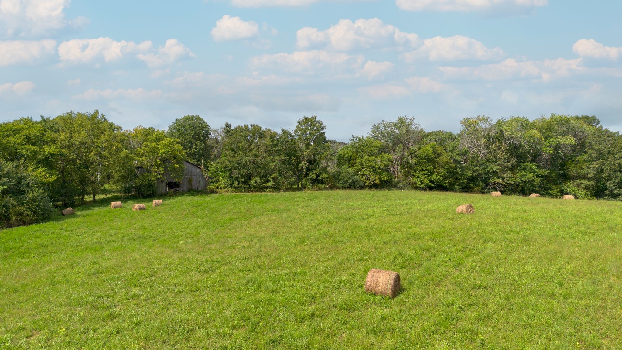 2882 Mobley Ridge Road Duck River, TN 38454 - Photo 56 of 70 a view of a green yard
