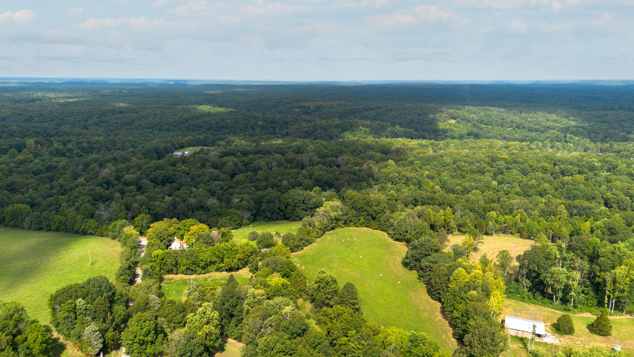 2882 Mobley Ridge Road Duck River, TN 38454 - Photo 60 of 70 a view of a lake in middle of forest