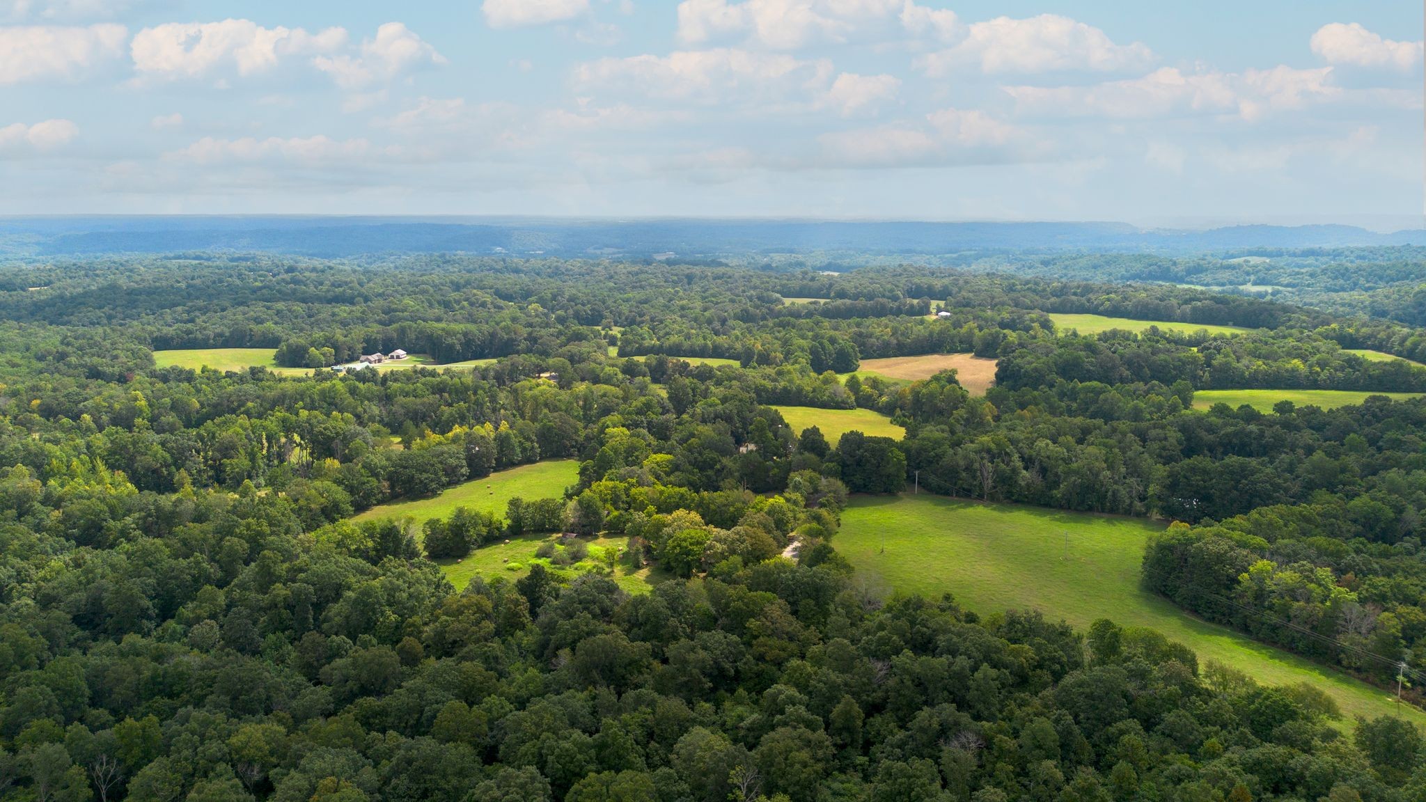2882 Mobley Ridge Road Duck River, TN 38454 - Photo 65 of 70 an aerial view of multiple house
