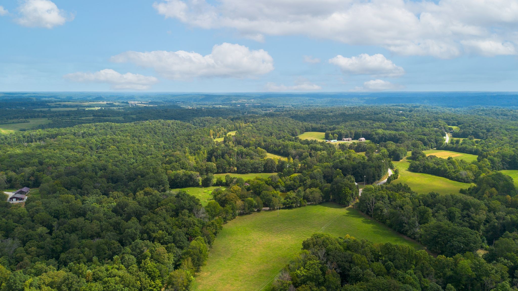 2882 Mobley Ridge Road Duck River, TN 38454 - Photo 66 of 70 an aerial view of residential houses with outdoor space and trees