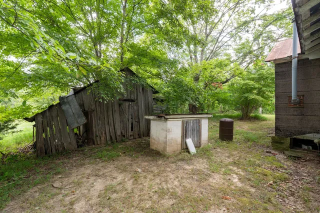 a view of a backyard