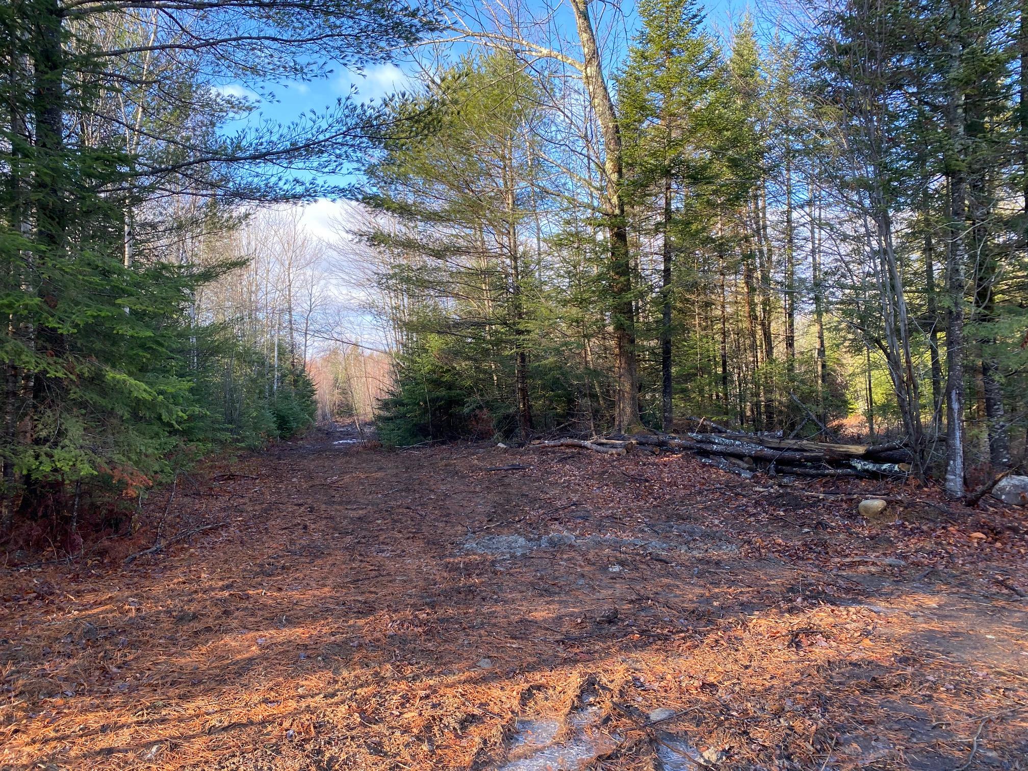 1-2 Back Road Skowhegan, ME 04976 - Photo 8 of 13 IMG_6047