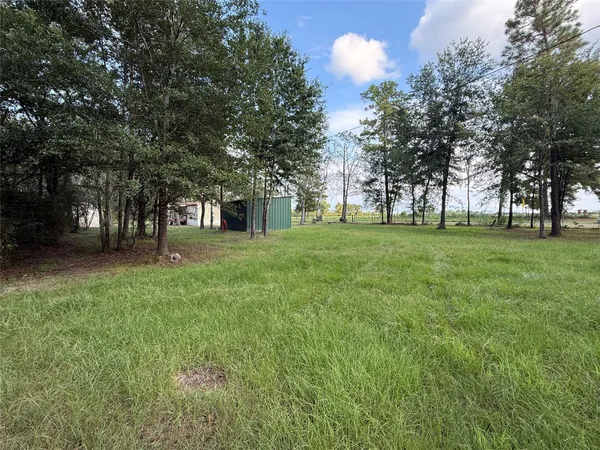 a view of a park with large trees