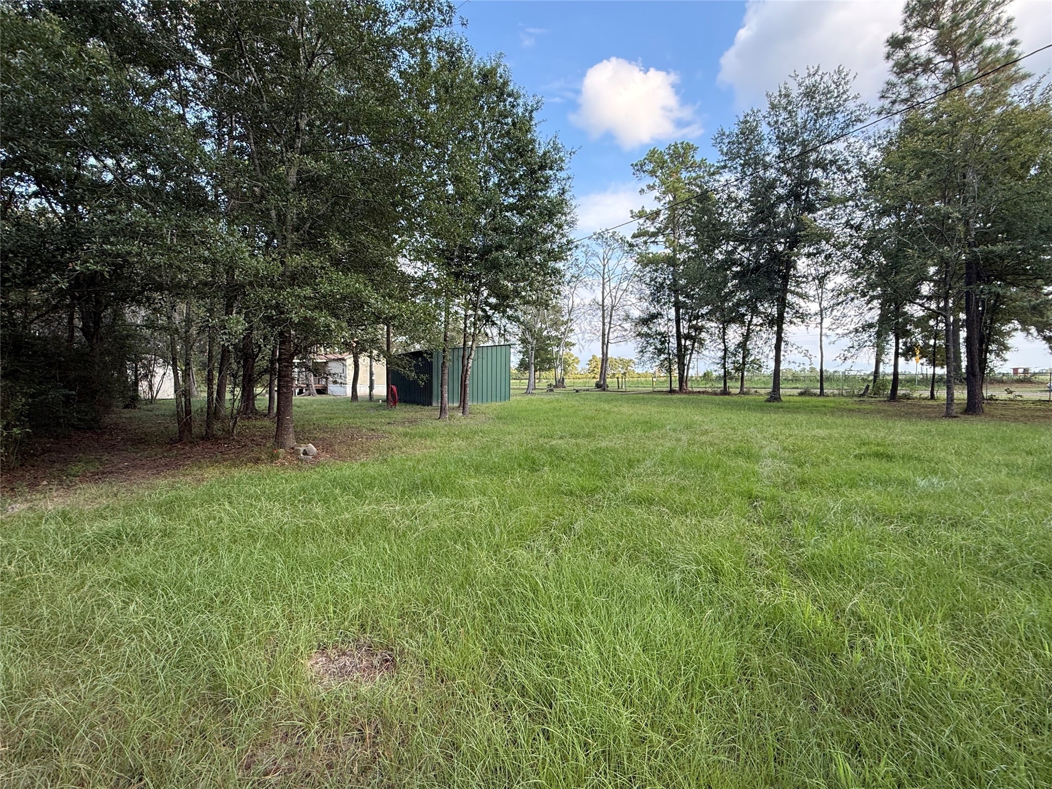 4813 Fm 357 Apple Springs Apple Springs, TX 75926 - Photo 27 of 32 a view of a park with large trees