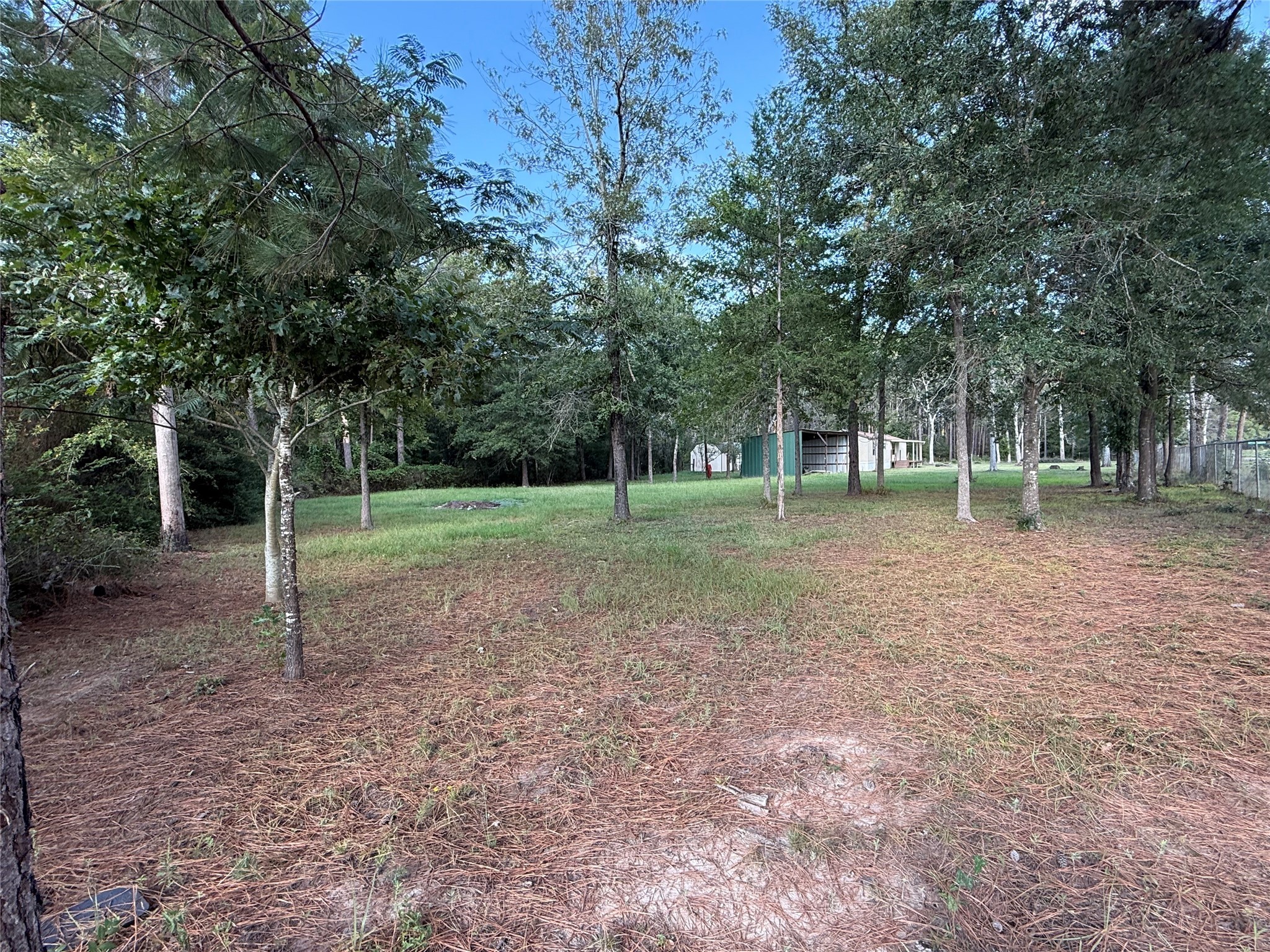 4813 Fm 357 Apple Springs Apple Springs, TX 75926 - Photo 28 of 32 a view of a park with large trees