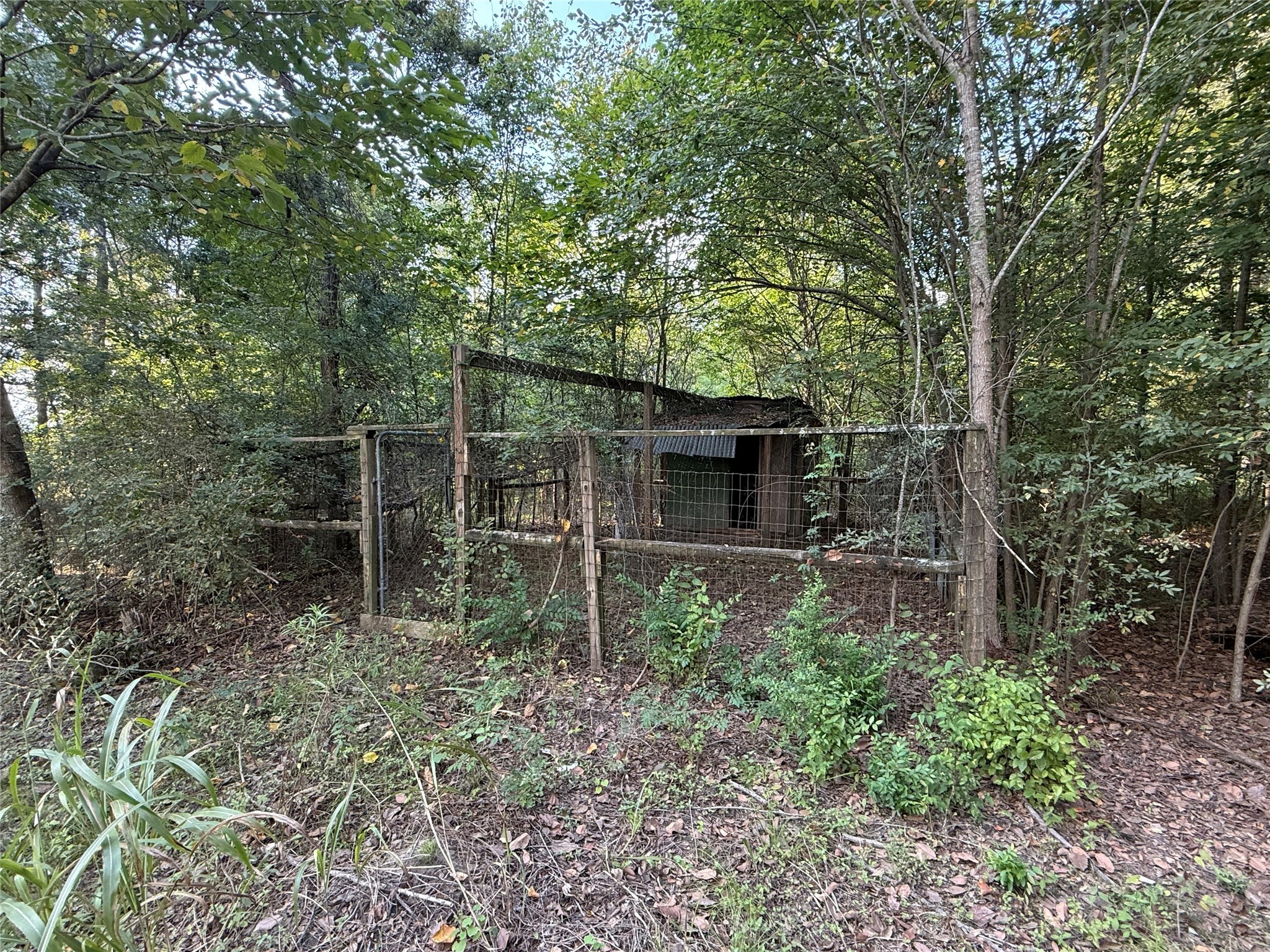 4813 Fm 357 Apple Springs Apple Springs, TX 75926 - Photo 32 of 32 a backyard of a house with lots of green space