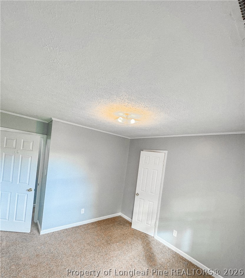 2879 County Line Road St. Pauls, NC 28384 - Photo 8 of 10