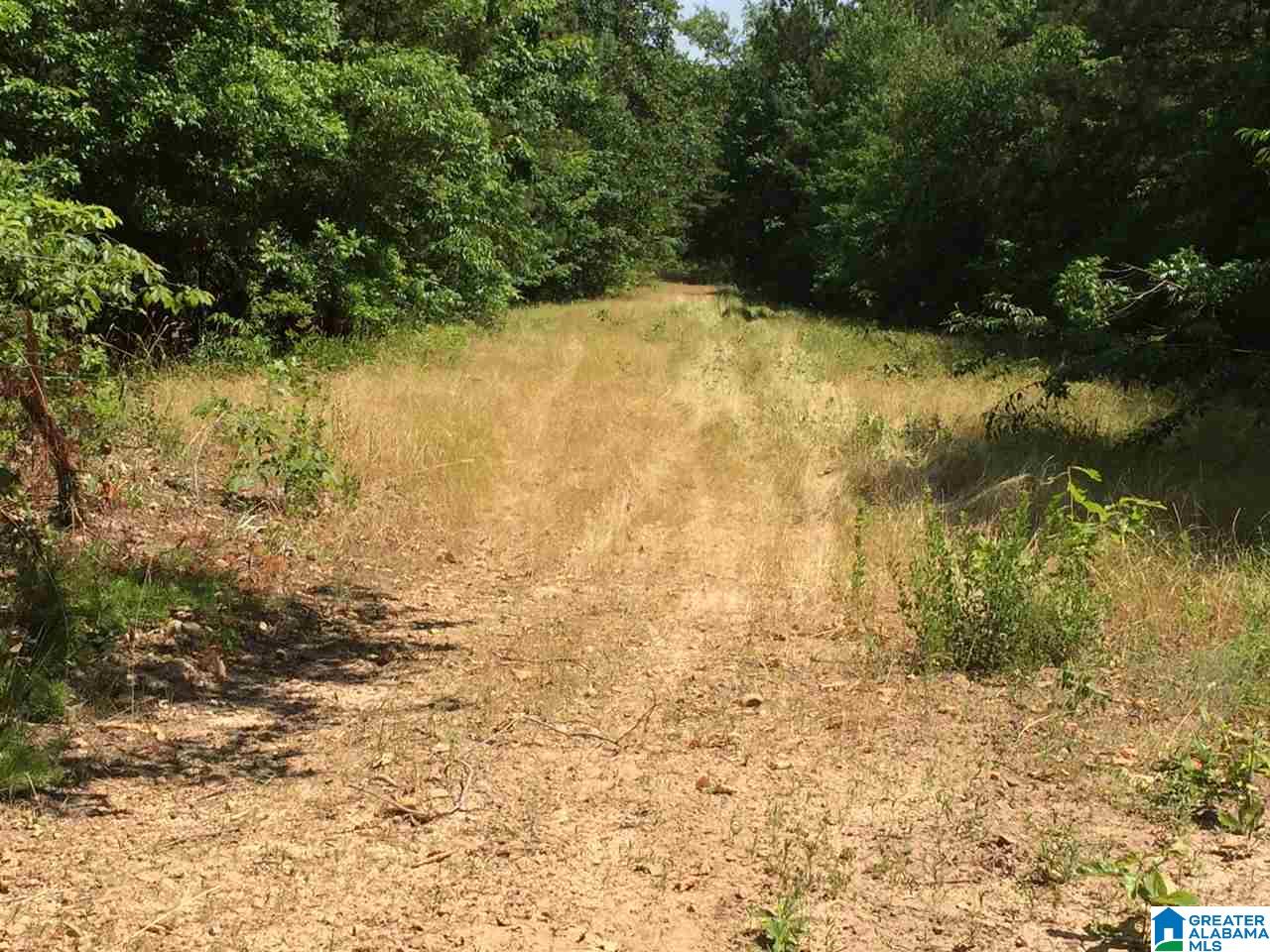 Pleasant Valley Road, Unit 40 Odenville, AL 35120 - Photo 2 of 6