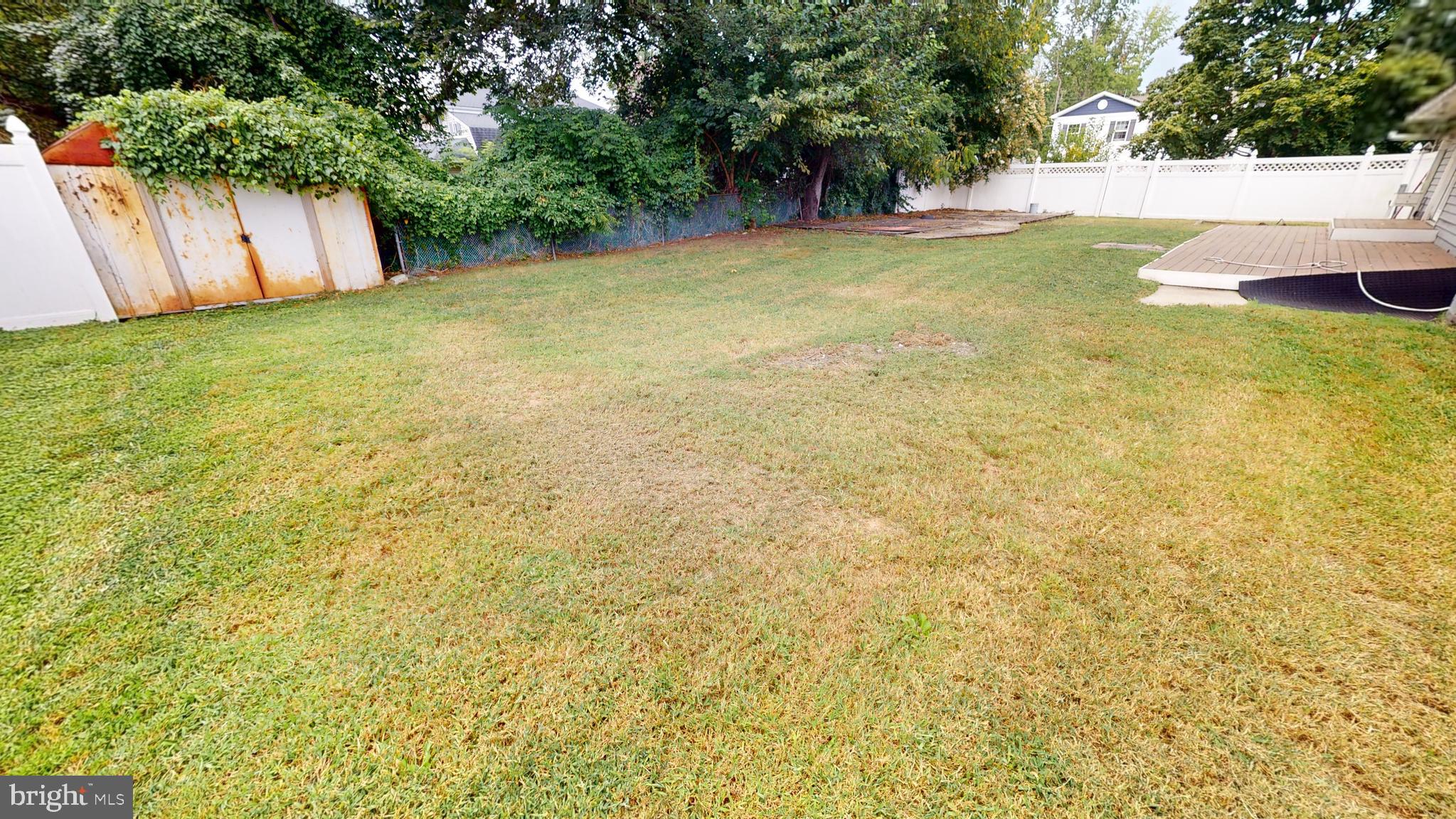 1401 Filbert Street Glassboro, NJ 08028 - Photo 18 of 18 a view of yard with trees