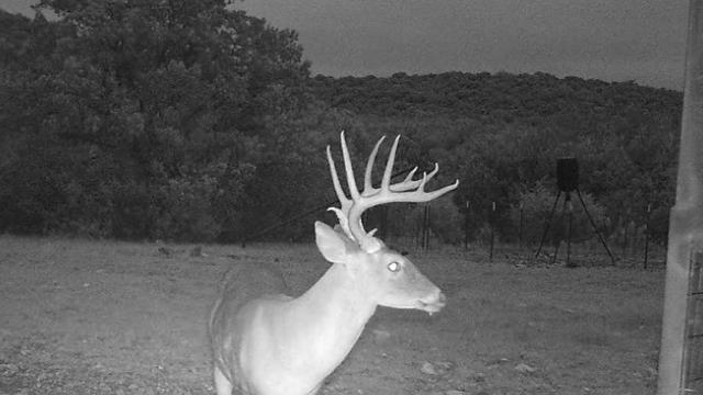7997 Sd 52100 Rocksprings, TX 78880 - Photo 49 of 71