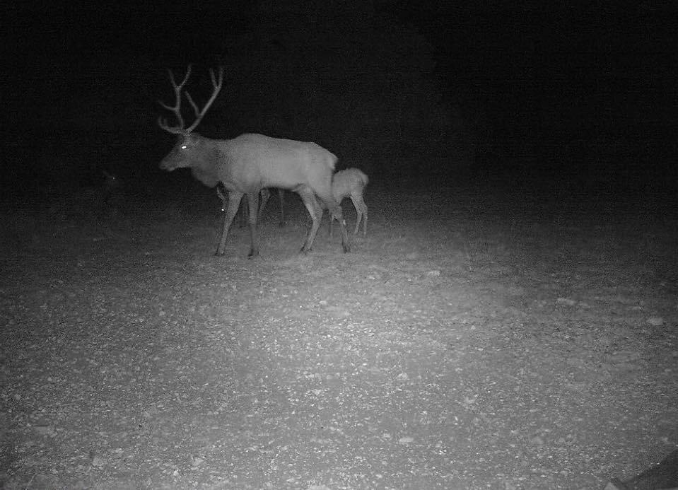 7997 Sd 52100 Rocksprings, TX 78880 - Photo 50 of 71